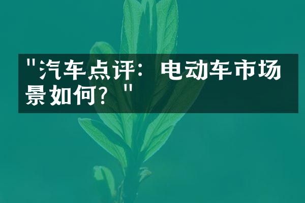 "汽车点评：电动车市场前景如何？"