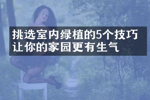 挑选室内绿植的5个技巧，让你的家园更有生气