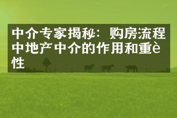 中介专家揭秘：购房流程中地产中介的作用和重要性