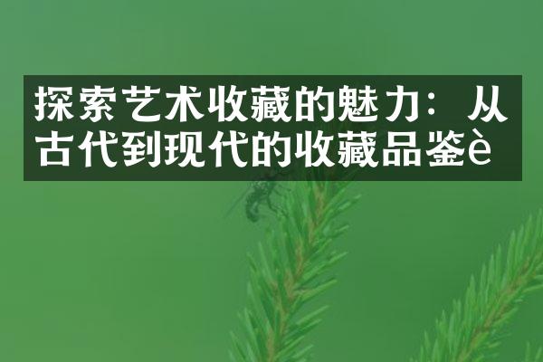 探索艺术收藏的魅力：从古代到现代的收藏品鉴赏