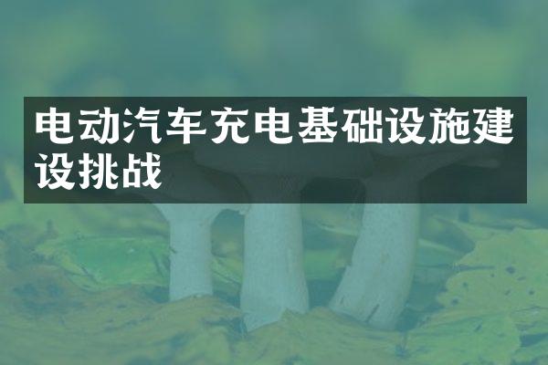 电动汽车充电基础设施挑战