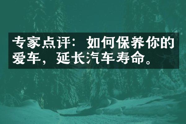 专家点评：如何保养你的爱车，延长汽车寿命。