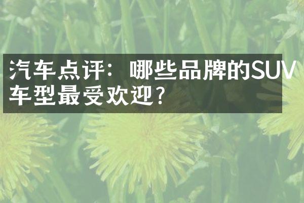 汽车点评：哪些品牌的SUV车型最受欢迎？