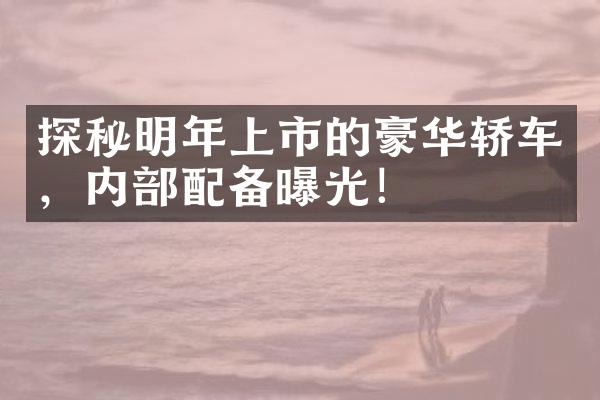 探秘明年上市的豪华轿车，内部配备曝光！