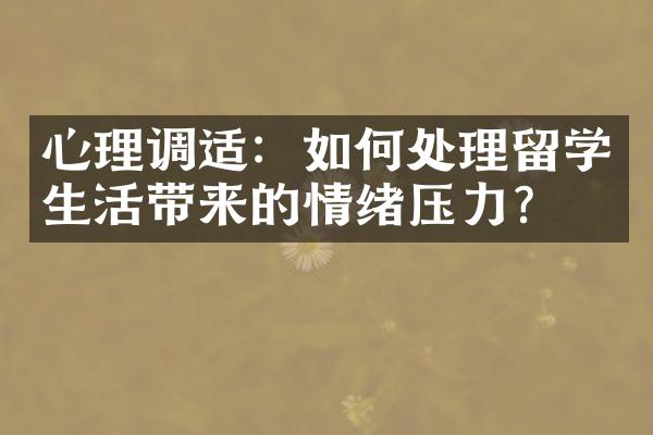 心理调适：如何处理留学生活带来的情绪压力？