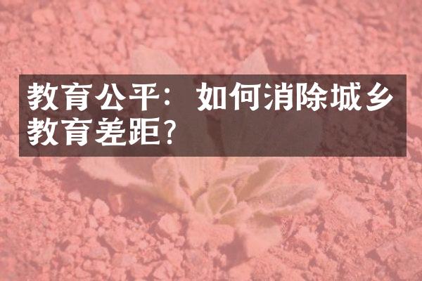 教育公平：如何消除城乡教育差距？