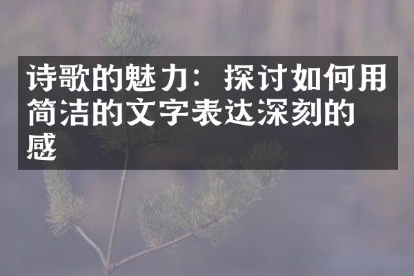 诗歌的魅力：探讨如何用简洁的文字表达深刻的情感