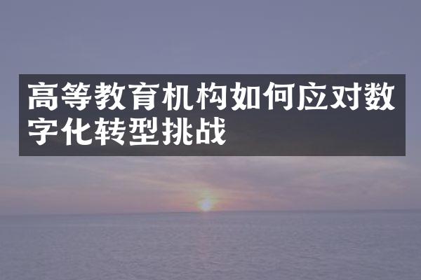 高等教育机构如何应对数字化转型挑战