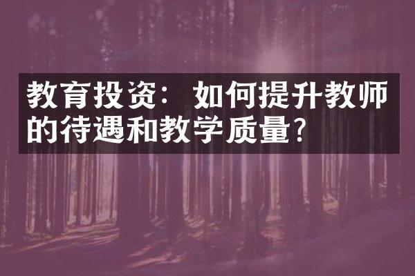 教育投资：如何提升教师的待遇和教学质量？