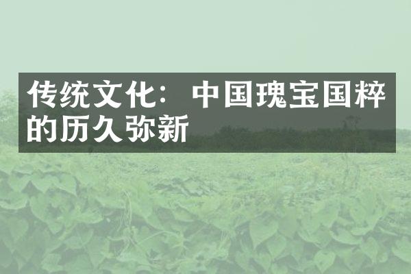 传统文化：中国瑰宝国粹的历久弥新