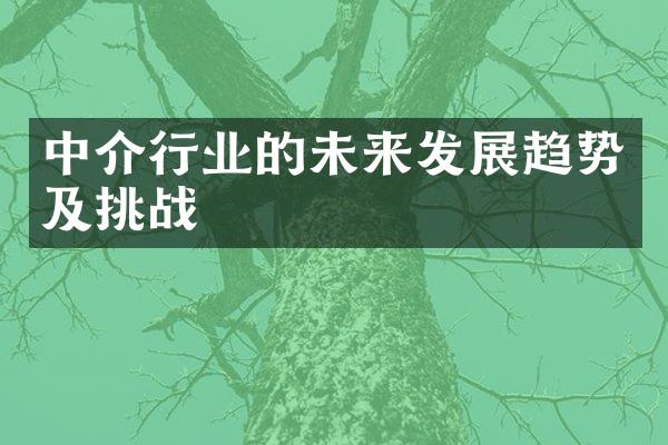 中介行业的未来发展趋势及挑战