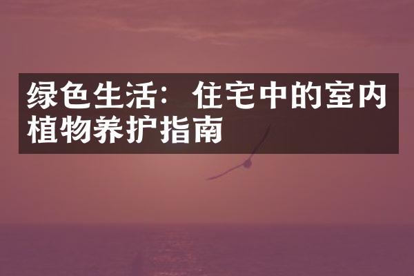 绿色生活：住宅中的室内植物养护指南