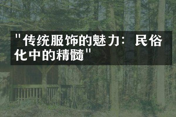 "传统服饰的魅力：民俗文化中的精髓"