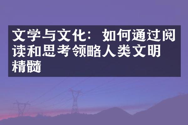 文学与文化：如何通过阅读和思考领略人类文明的精髓