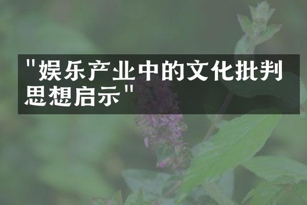 "娱乐产业中的文化批判与思想启示"