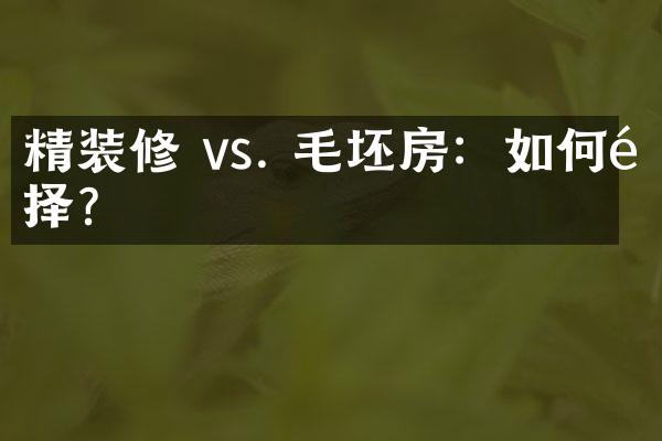 精装修 vs. 毛坯房：如何选择？