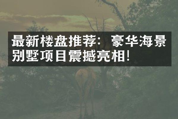 最新楼盘推荐：豪华海景别墅项目震撼亮相！