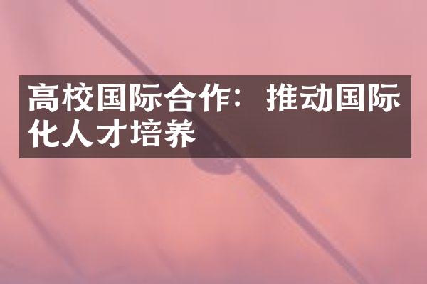 高校国际合作：推动国际化人才培养