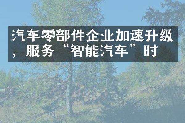 汽车零部件企业加速升级，服务“智能汽车”时代