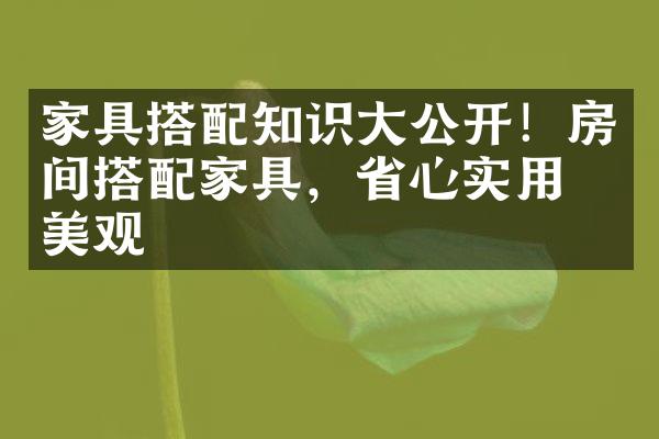 家具搭配知识公开！房间搭配家具，心实用又美观