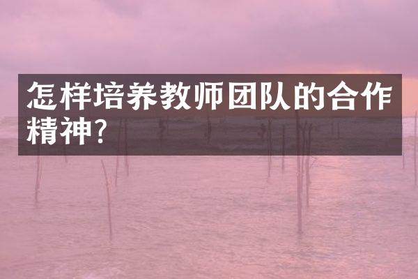 怎样培养教师团队的合作精神？