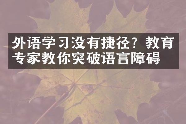 外语学习没有捷径？教育专家教你突破语言障碍