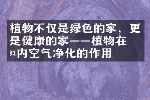 植物不仅是绿色的家，更是健康的家——植物在室内空气净化的作用