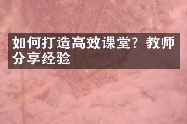 如何打造高效课堂？教师分享经验