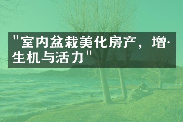 "室内盆栽美化房产，增添生机与活力"