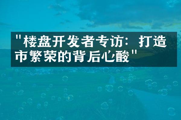 "楼盘开发者专访：打造城市繁荣的背后心酸"