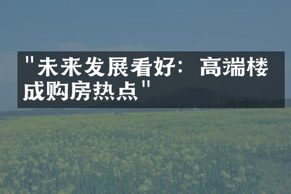 "未来发展看好：高端楼盘成购房热点"