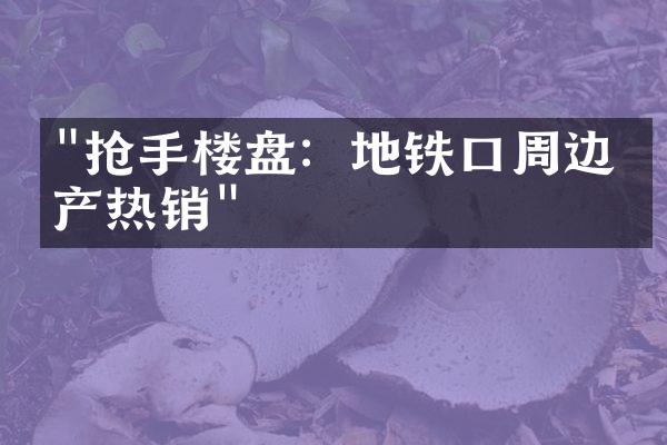 "抢手楼盘：地铁口周边房产热销"