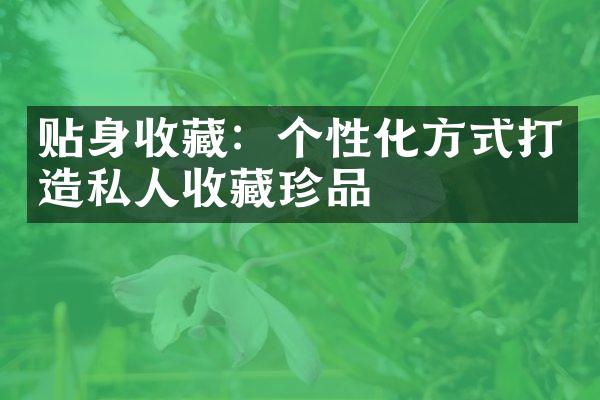 贴身收藏：个性化方式打造私人收藏珍品