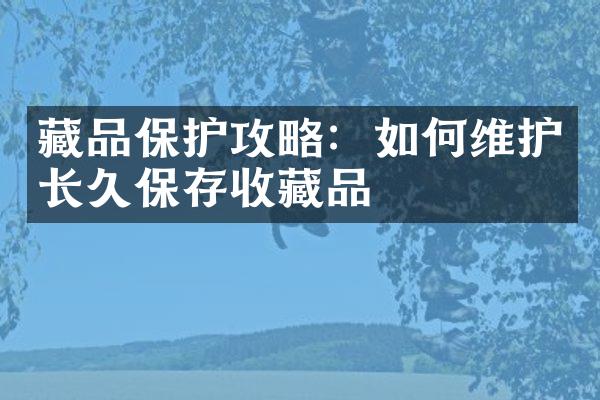 藏品保护攻略：如何维护长久保存收藏品