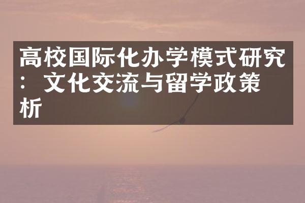 高校国际化办学模式研究：文化交流与留学政策分析