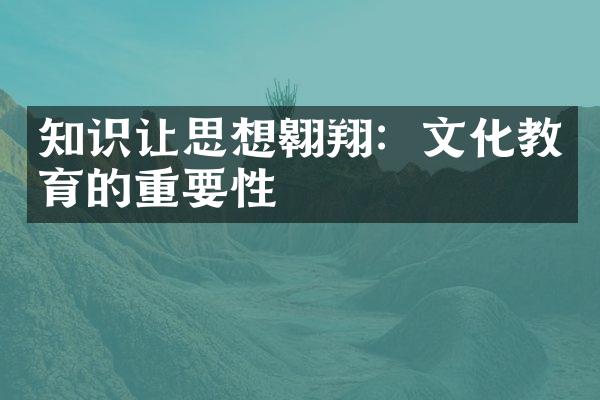 知识让思想翱翔：文化教育的重要性