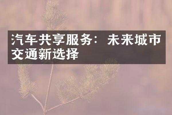 汽车共享服务：未来城市交通新选择