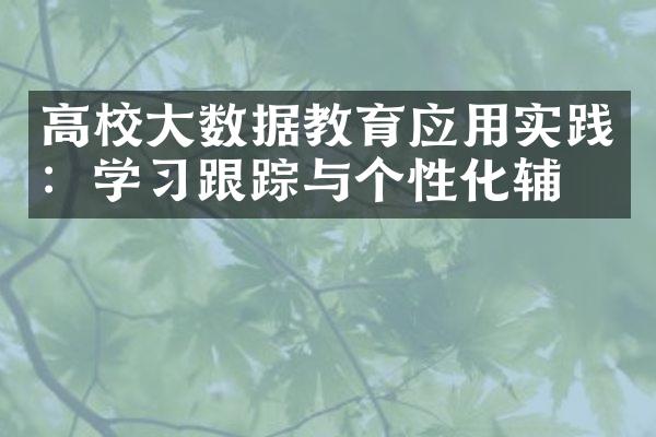 高校大数据教育应用实践：学习跟踪与个性化辅导