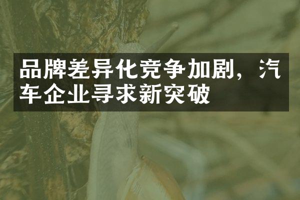 品牌差异化竞争加剧，汽车企业寻求新突破