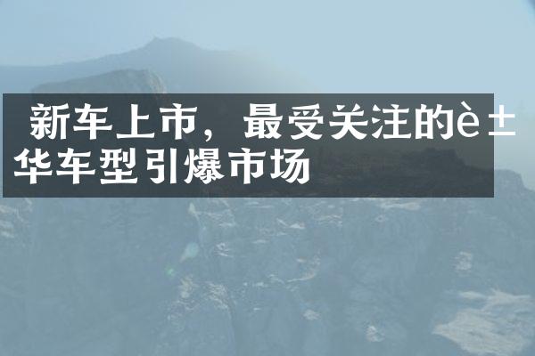  新车上市，最受关注的豪华车型引爆市场