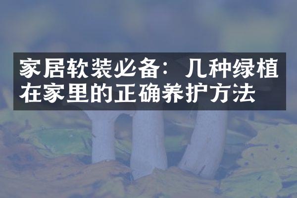 家居软装必备：几种绿植在家里的正确养护方法