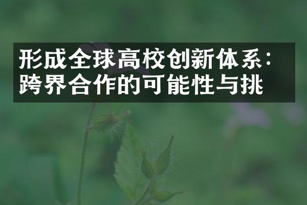 形成全球高校创新体系：跨界合作的可能性与挑战