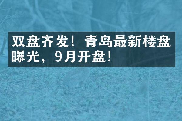 双盘齐发！青岛最新楼盘曝光，9月开盘！