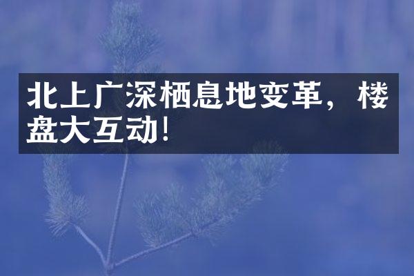 北上广深栖息地变革，楼盘互动！