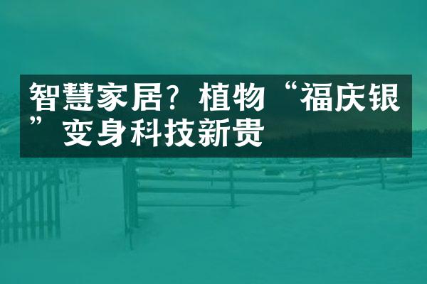 智慧家居？植物“福庆银”变身科技新贵