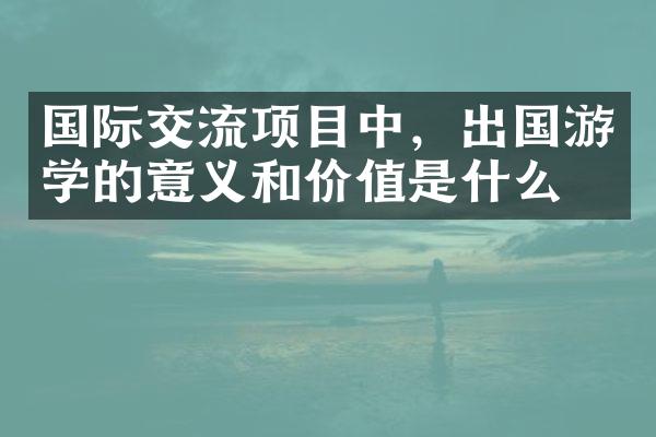 国际交流项目中，出国游学的意义和价值是什么？