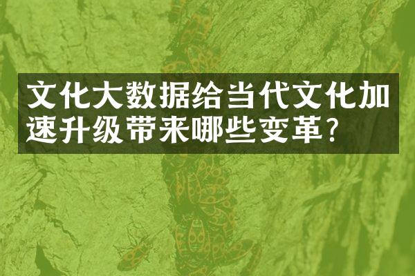 文化大数据给当代文化加速升级带来哪些变革？