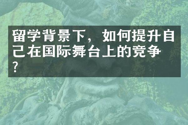 留学背景下，如何提升自己在国际舞台上的竞争力？