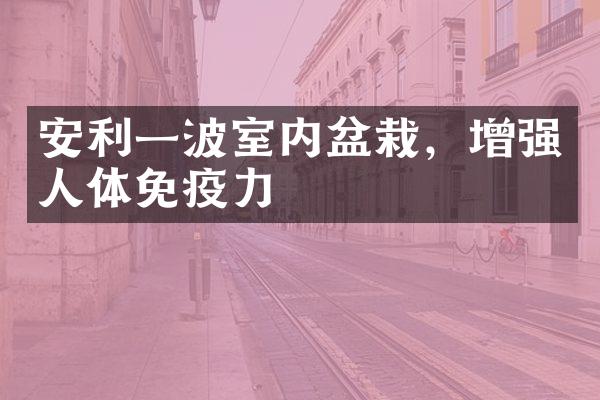 安利一波室内盆栽，增强人体免疫力