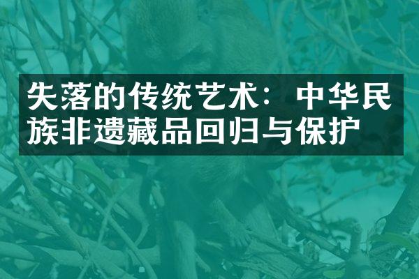 失落的传统艺术：中华民族非遗藏品回归与保护